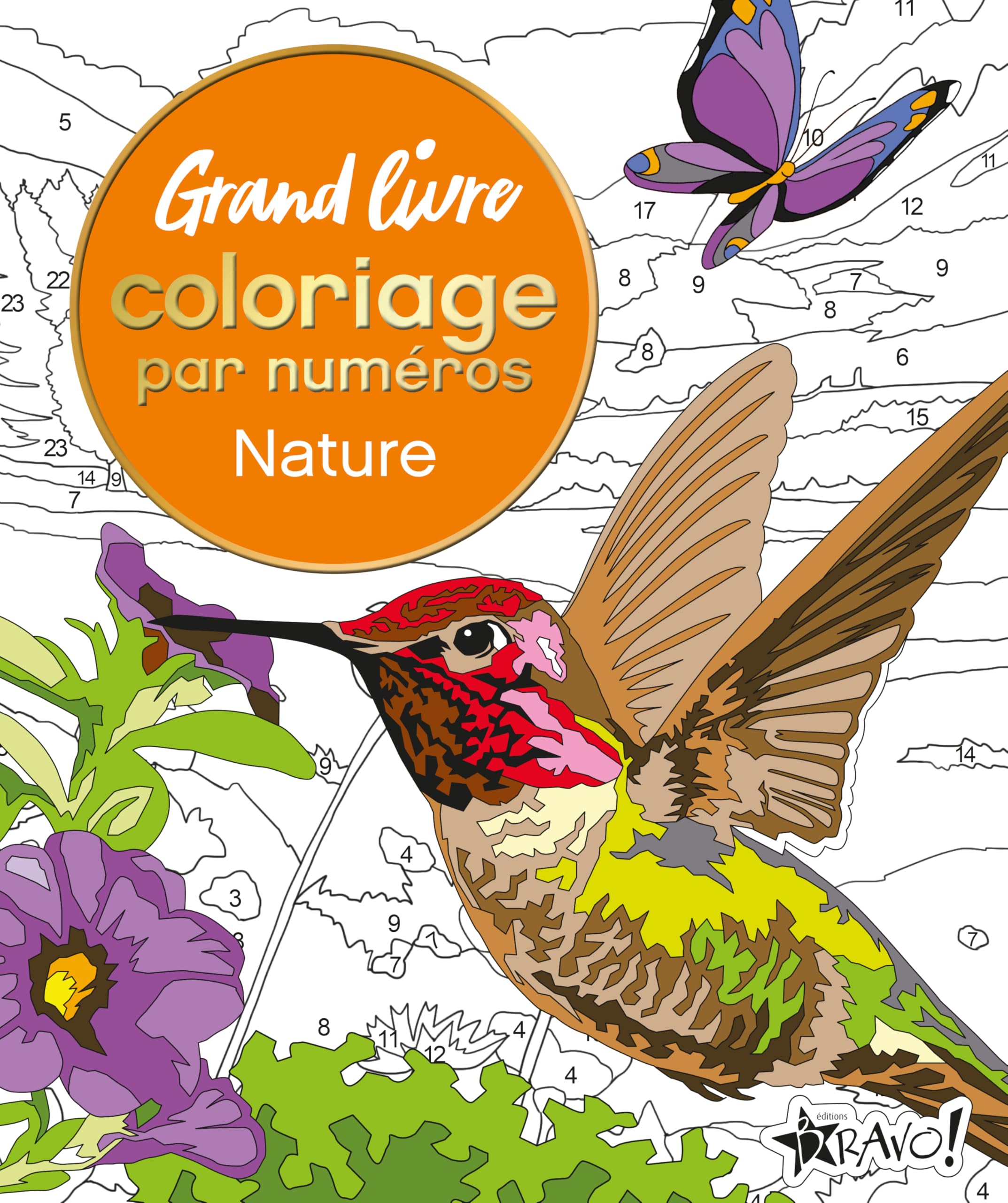 Grand livre coloriage par numéros - Nature Hobbies & Crafts