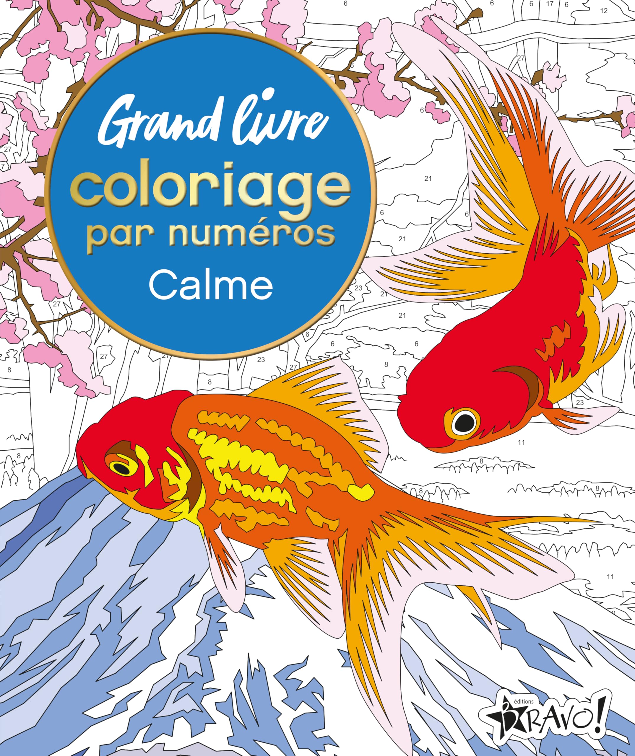 Grand livre coloriage par numéros - Calme book
