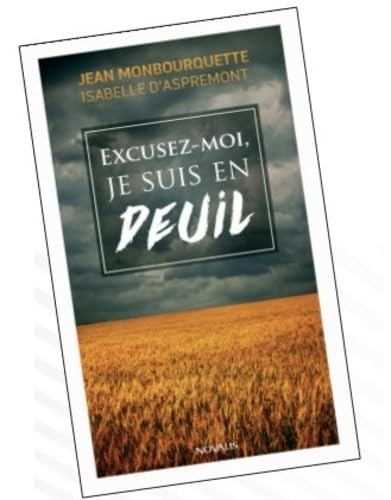 Excusez-moi je suis en deuil Books