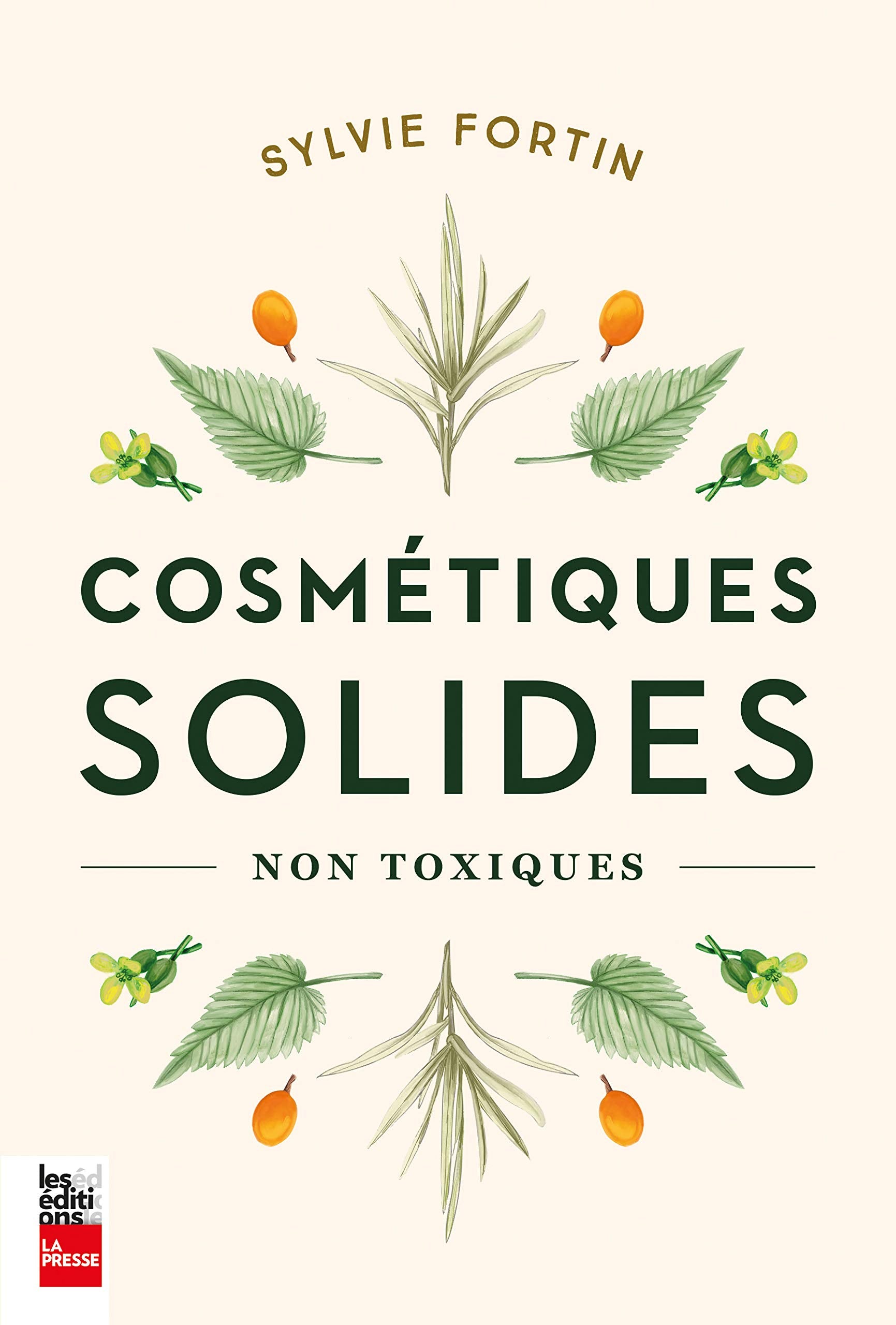 Cosmétiques solides non toxiques book