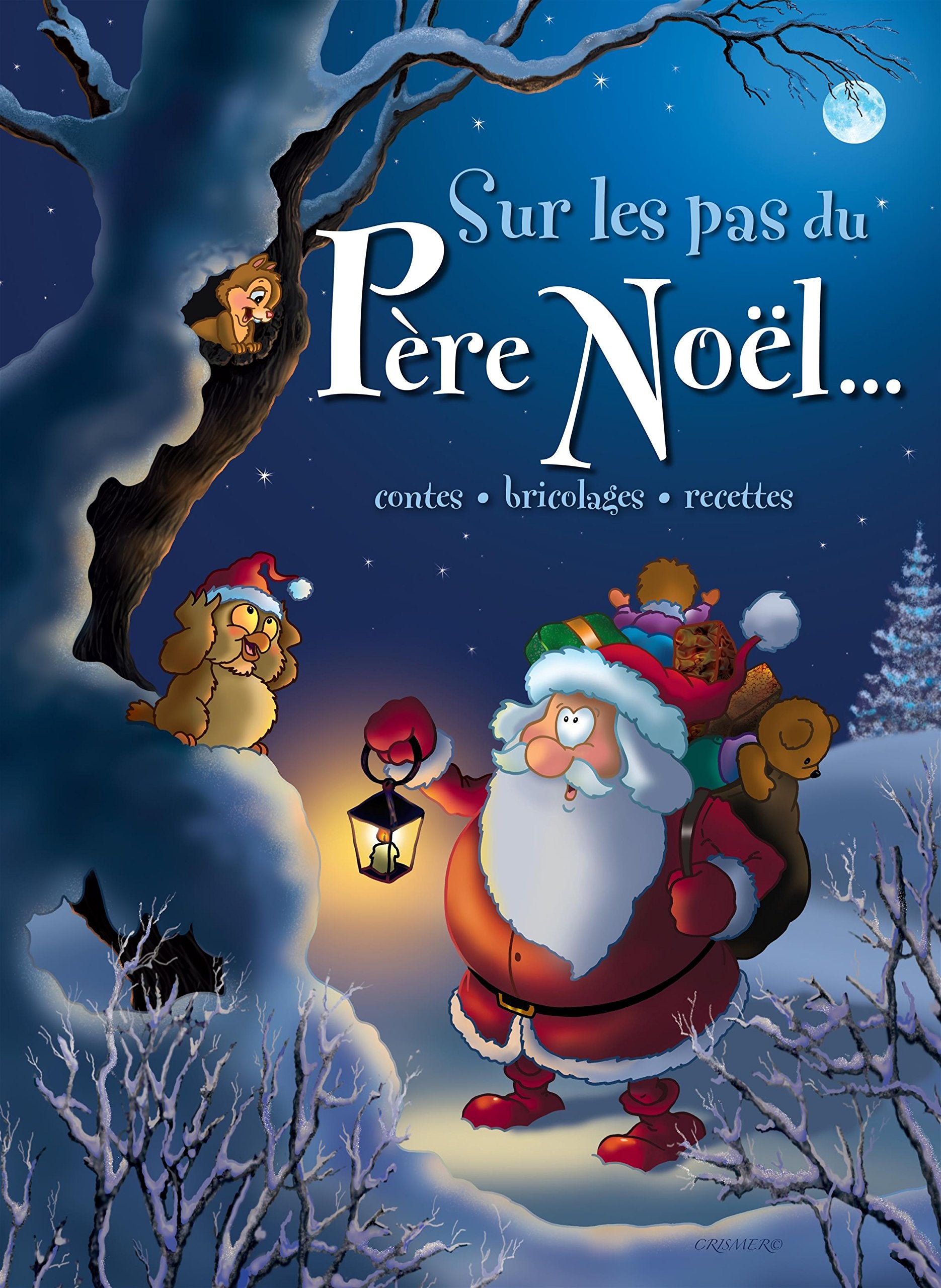 Sur les pas du pere noel : contes, bricolages, recettes book