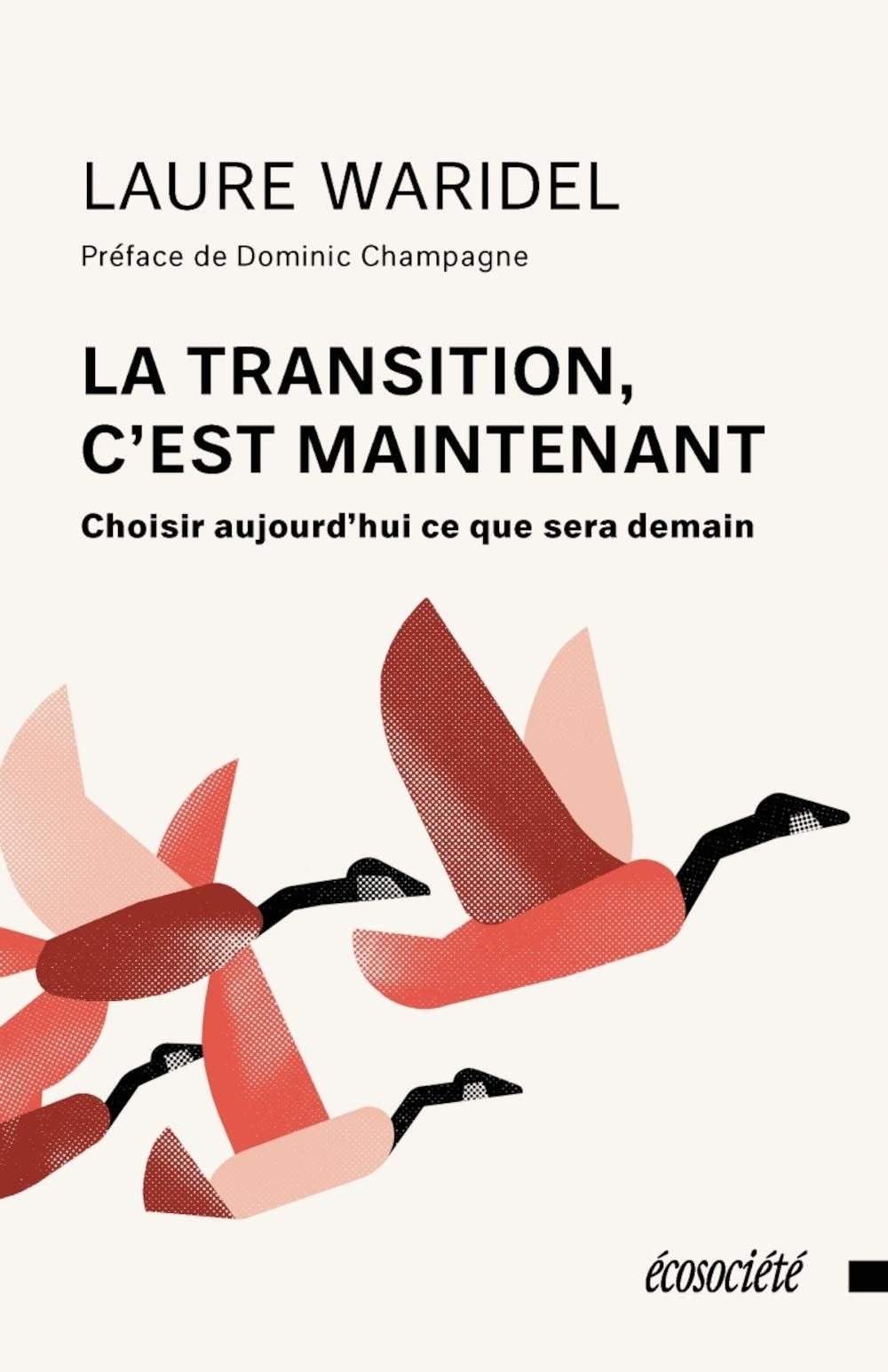 La transition, c'est maintenant: Choisir aujourd'hui ce que sera demain book