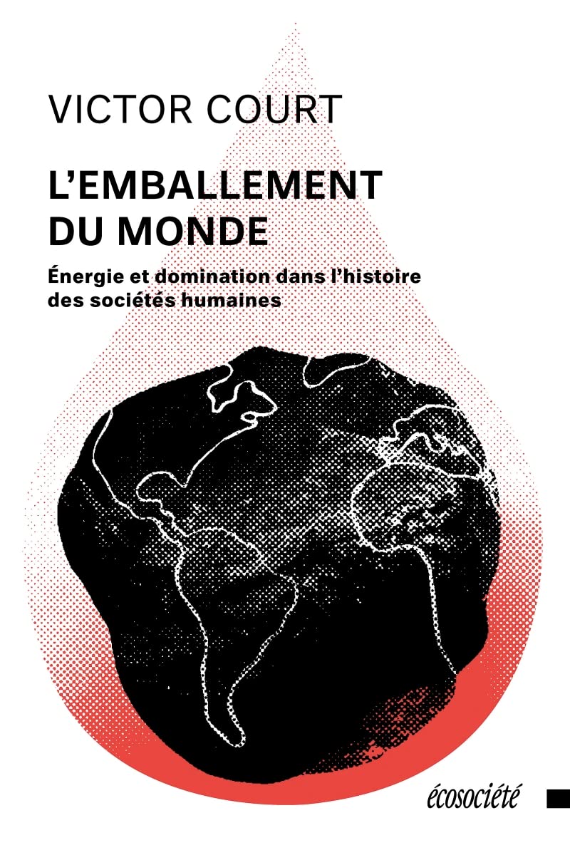 L'emballement du monde - Énergie et domination dans l’histoi: Énergie et domination dans l’histoire des sociétés humaines Social Sciences