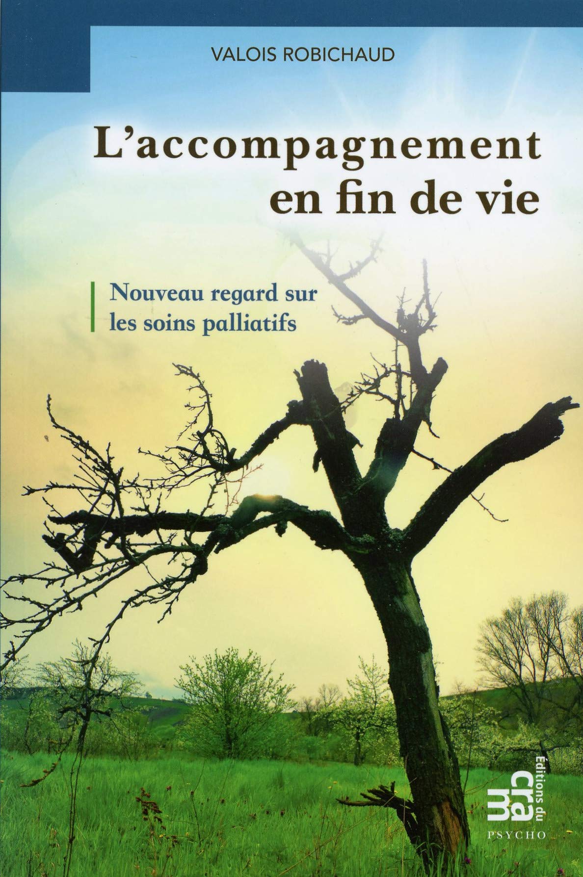 L'accompagnement en fin de vie - Nouveau regard sur les soins palliatifs book