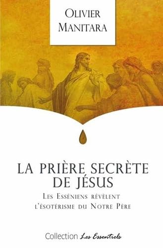 L'initiation du Temple Egyptien - L'expérience de la vie après la mort book
