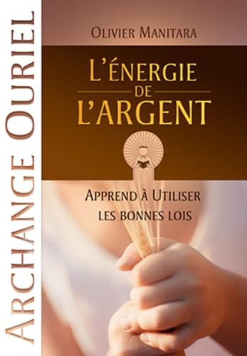 L'energie de l'argent : apprends a utiliser les bonnes lois book