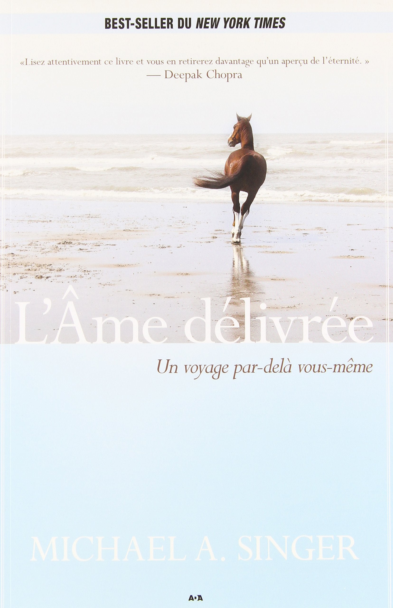L'Ame délivrée - Un voyage par-delà vous-même book