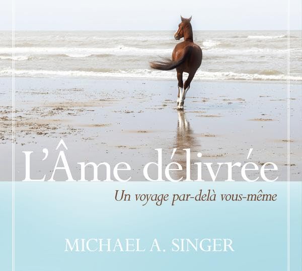 L'âme délivrée - Livre audio 2 CD: Un voyage par-delà vous-même cd