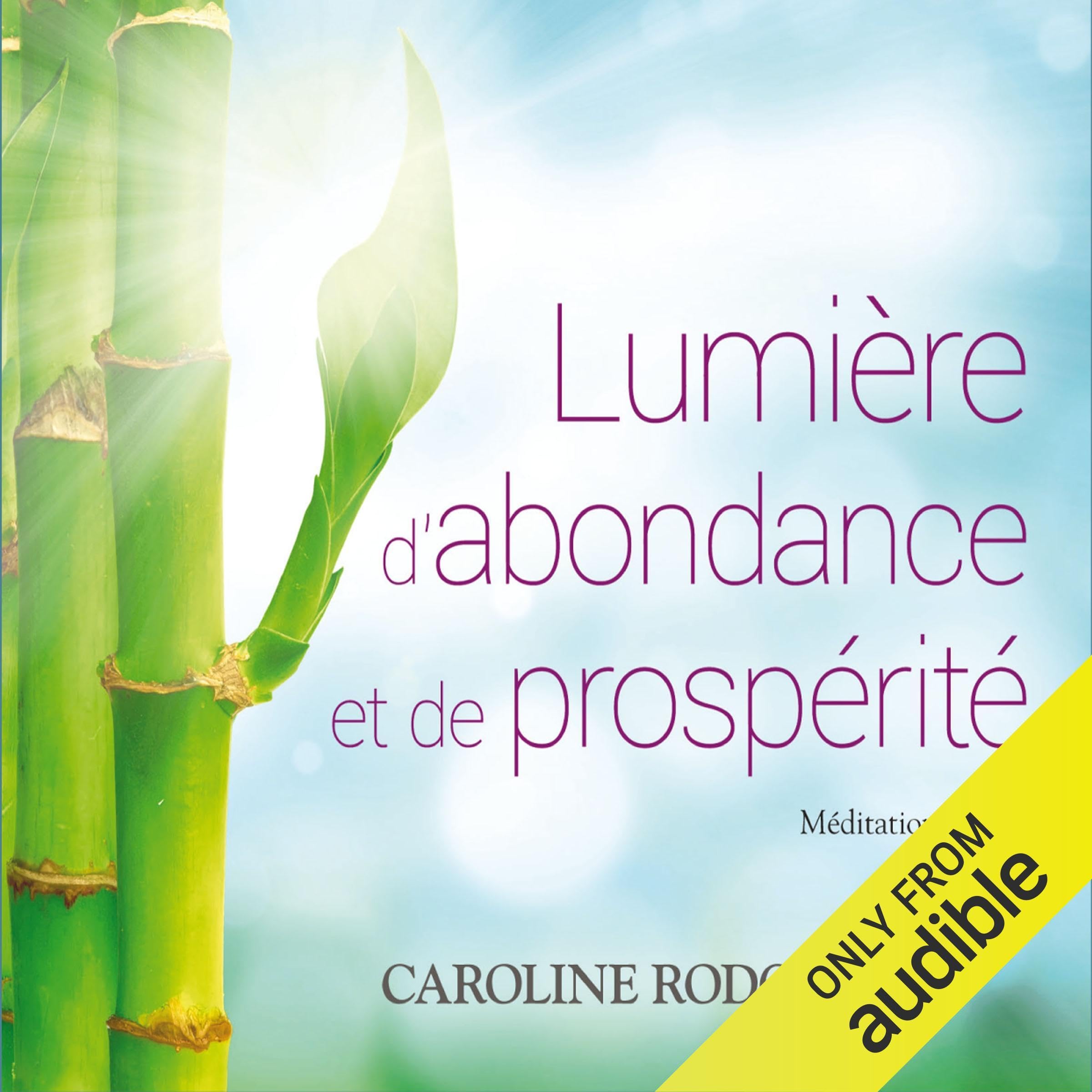 Lumière d'abondance et de prospérité - Livre audio cd