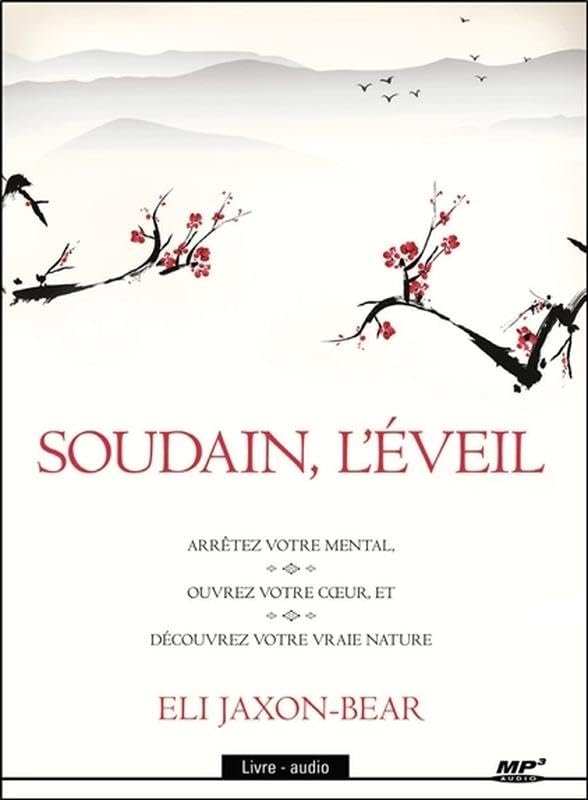 Soudain, l'éveil - Livre audio CD MP3 cd