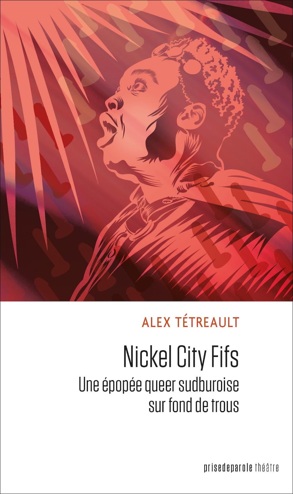 Nickel City Fifs: Une épopée queer sudburoise sur fond de trous book