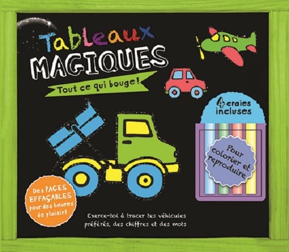 TOUT CE QUI BOUGE - TABLEAUX MAGIQUES book