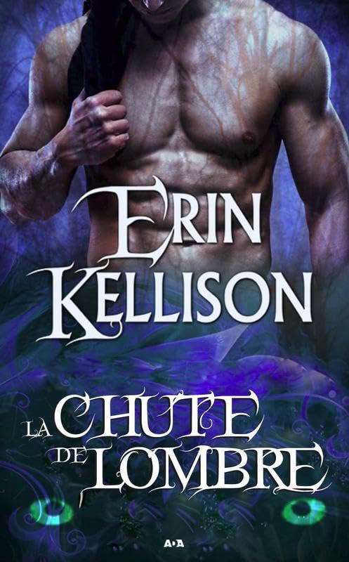 La chute de l'Ombre - Série de l'Ombre T2 book