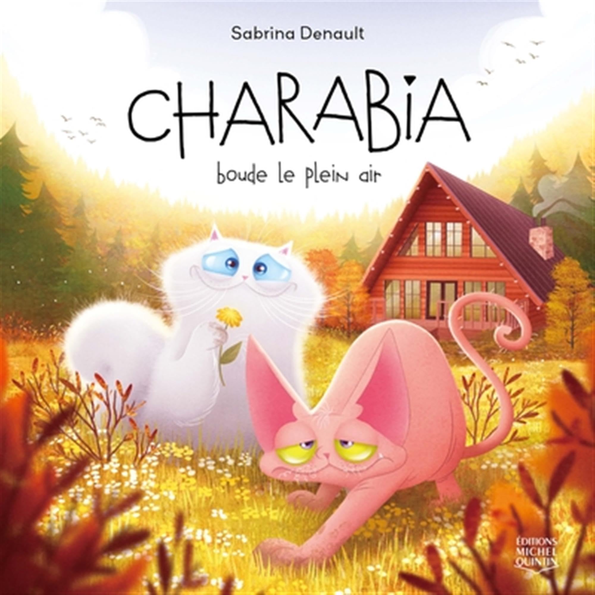 Charabia v 05 boude le plein air book