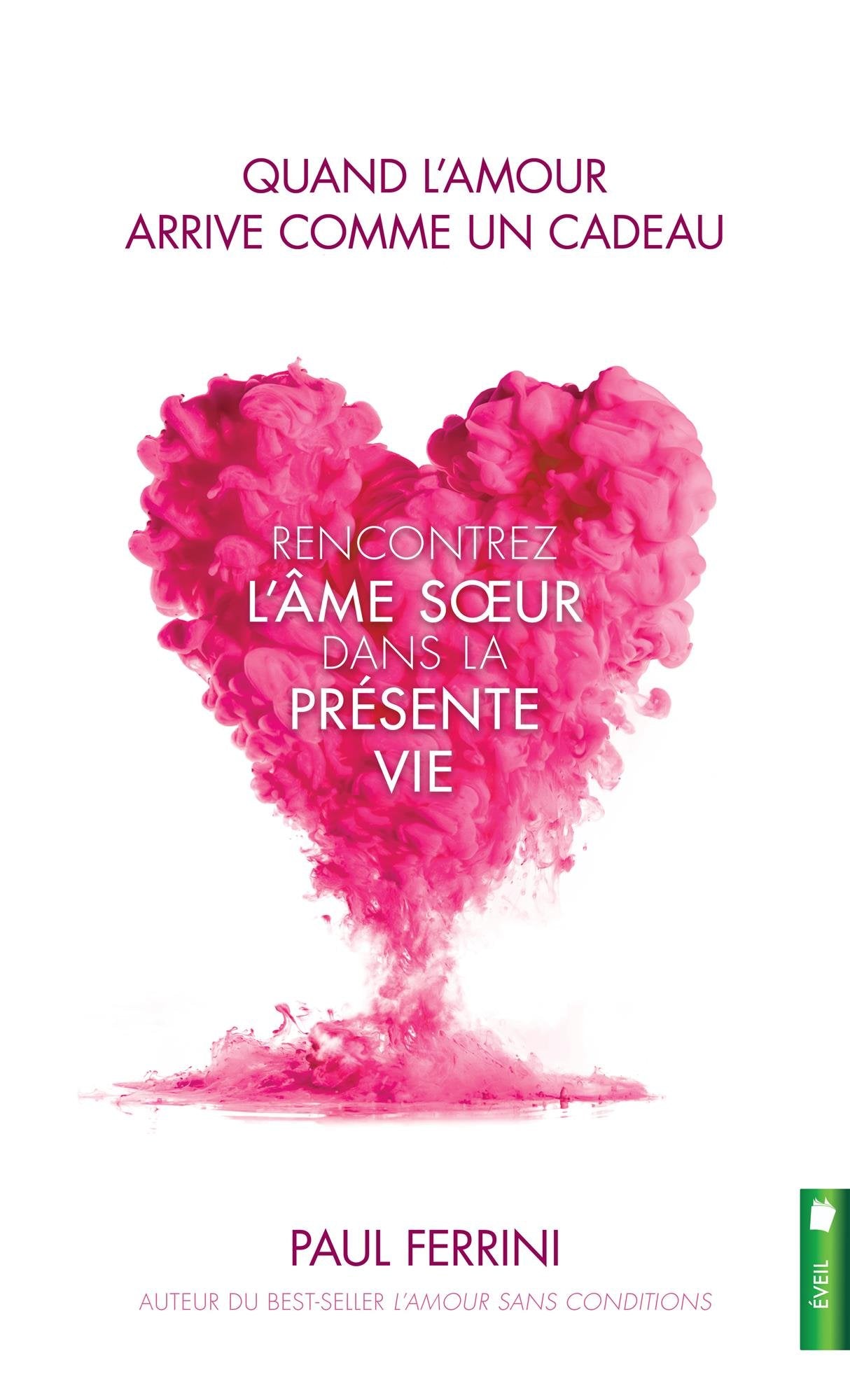 Quand l'amour arrive comme un cadeau - Rencontrez l'âme soeur dans la présente vie book