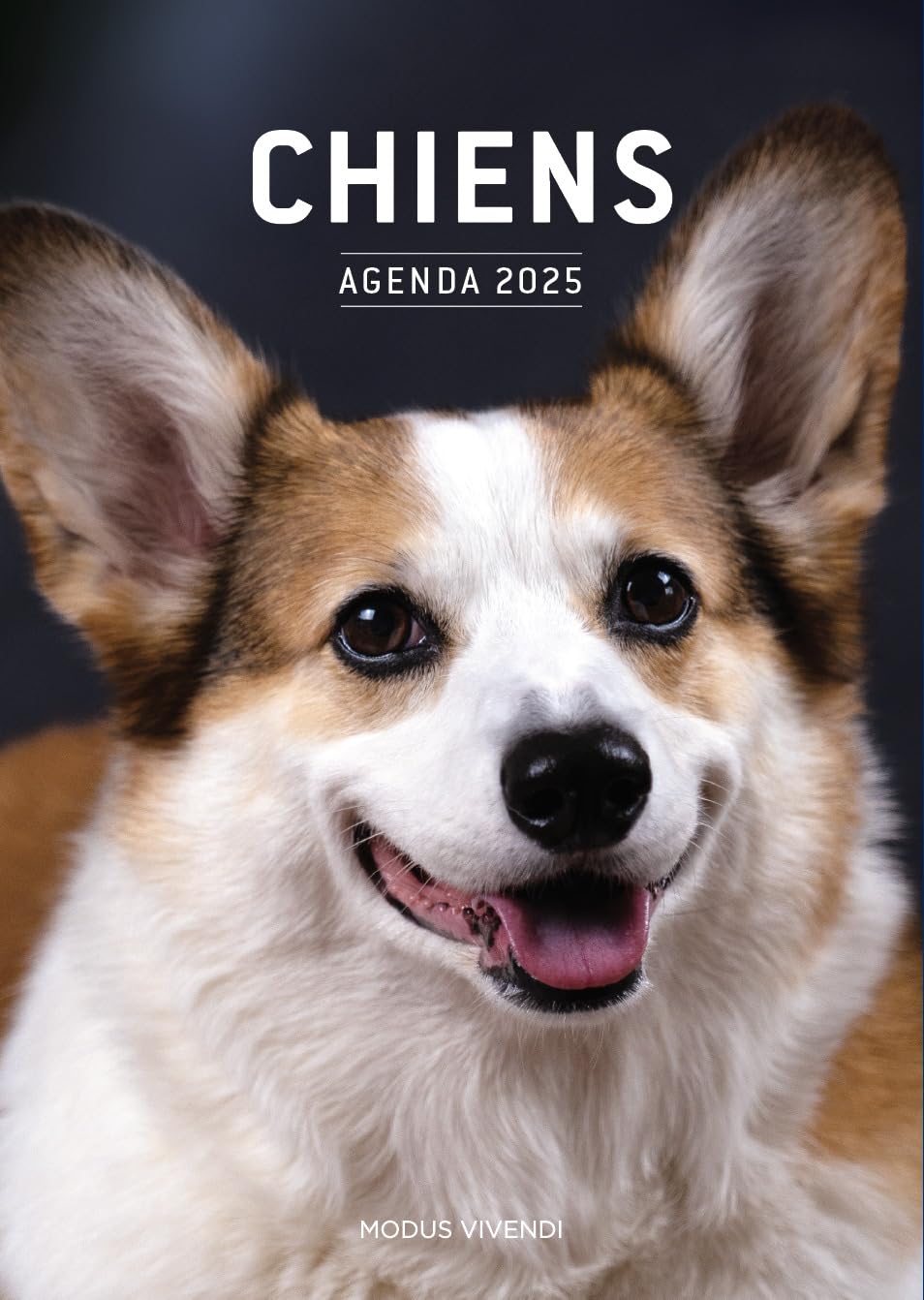 Chiens - Agenda 2025 Leisure, Home & Garden Books