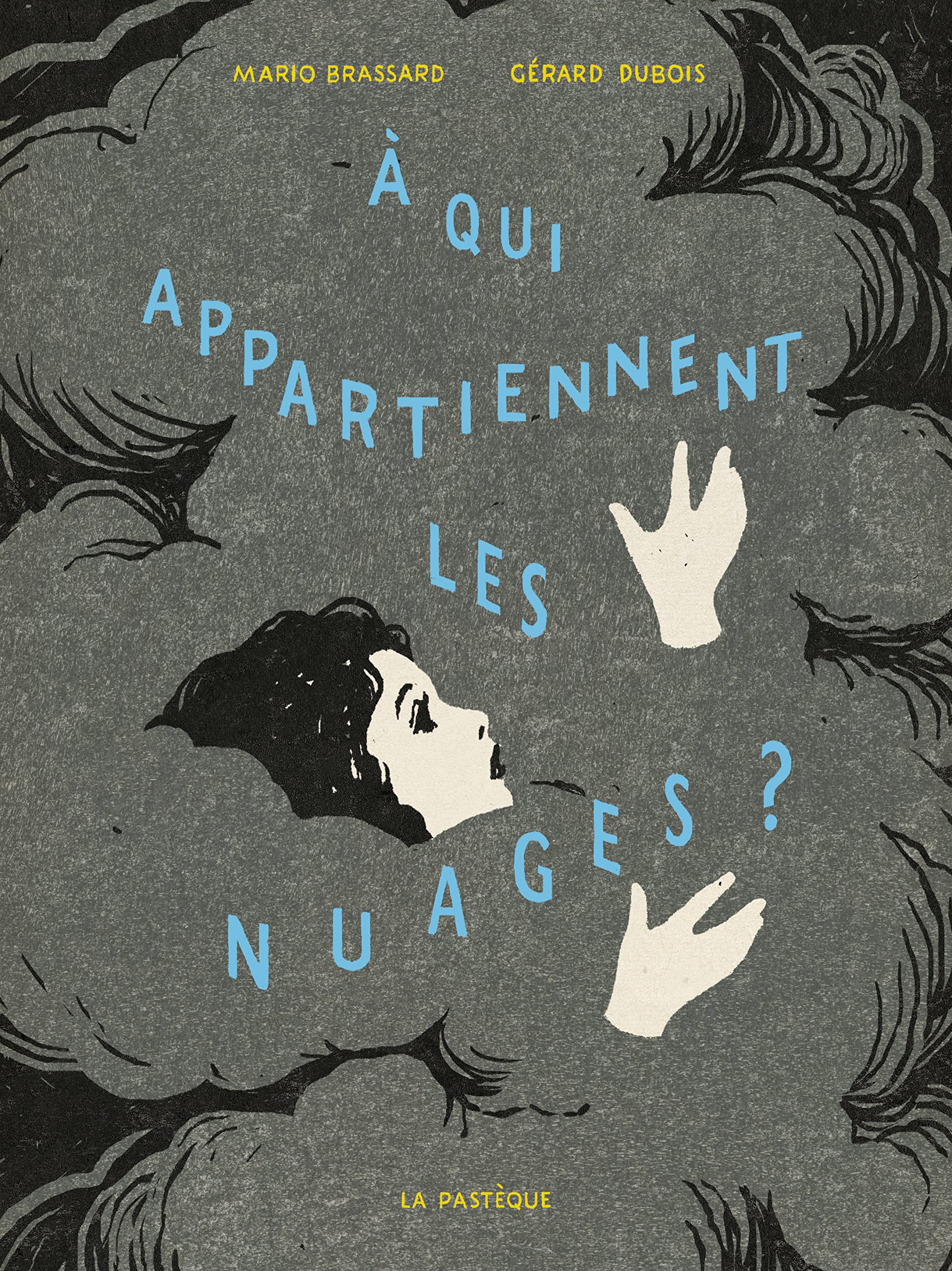 À qui appartiennent les nuages? book