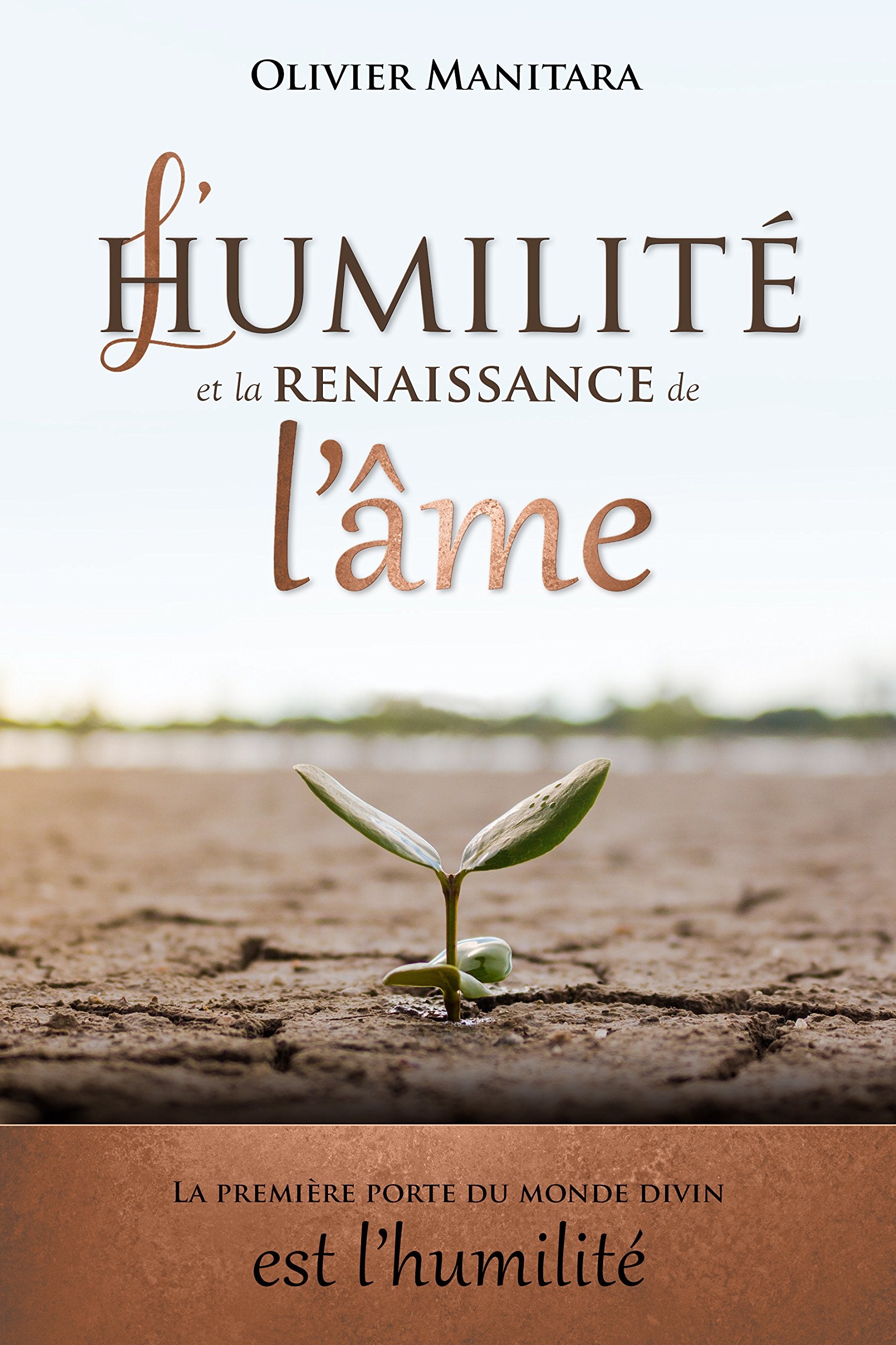 L Humilite et la Renaissance de l Ame : la Premiere Porte du Monde Divin Est l Humilite book