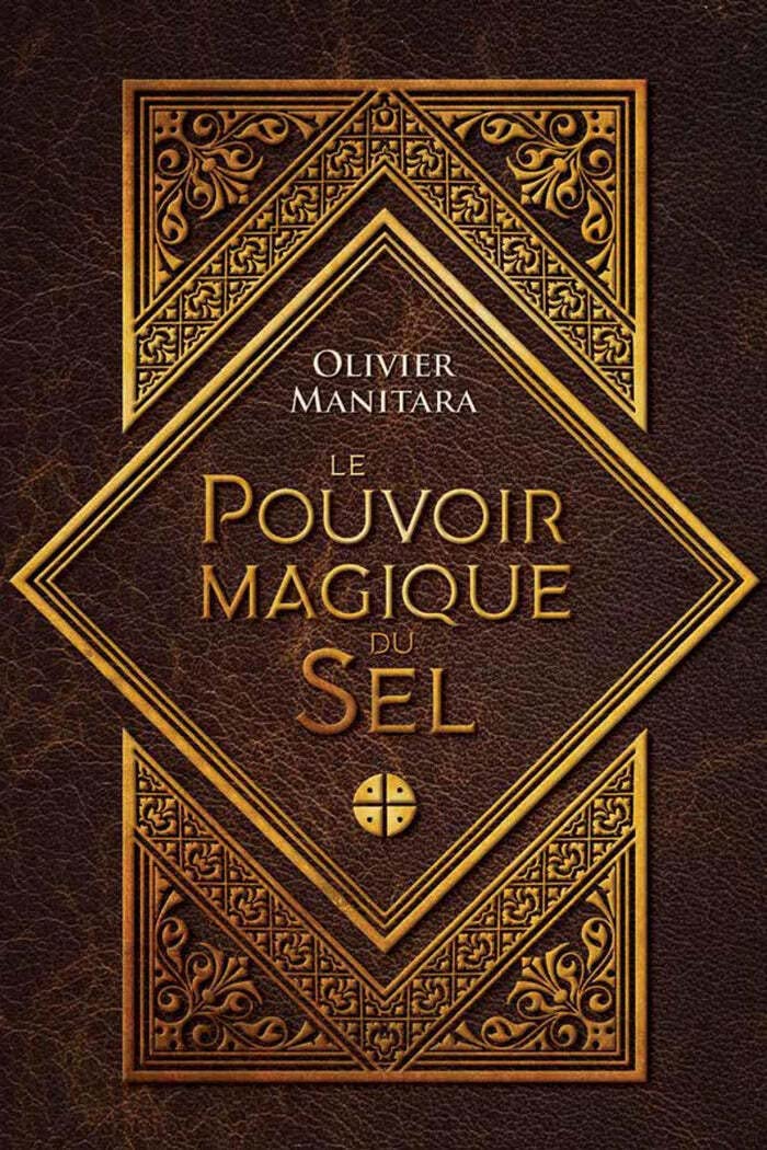 Le pouvoir magique du sel book