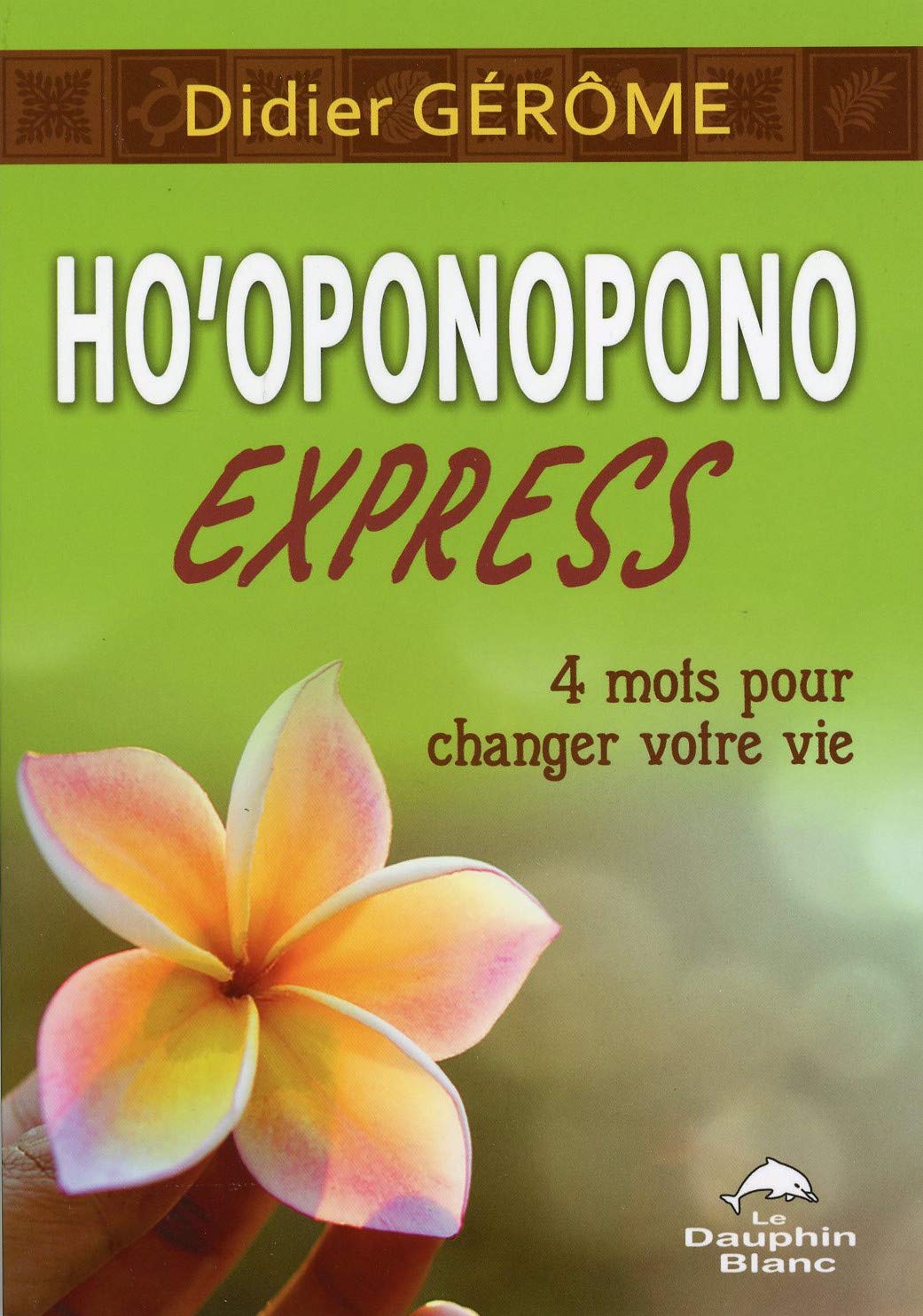 Ho'oponopono Express - 4 mots pour changer votre vie book