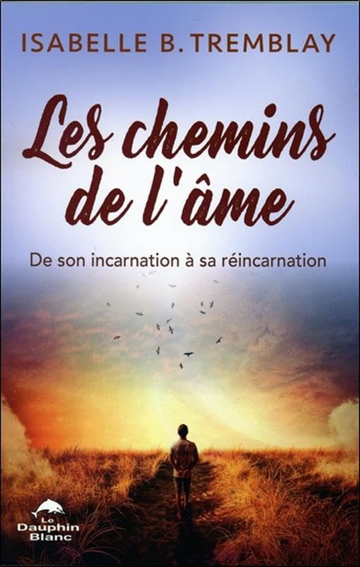 Les chemins de l'âme - De son incarnation à sa réincarnation Religion & Esotericism