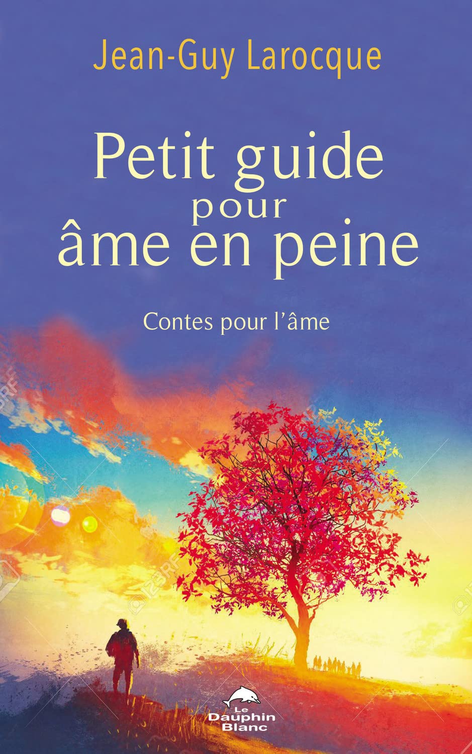 Petit guide pour âme en peine - Contes pour l'âme book