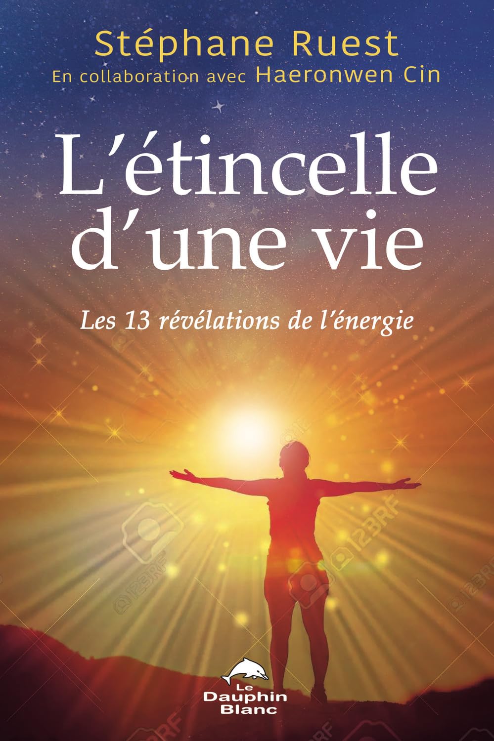 L'étincelle d'une vie - Les 13 révélations de l'énergie book