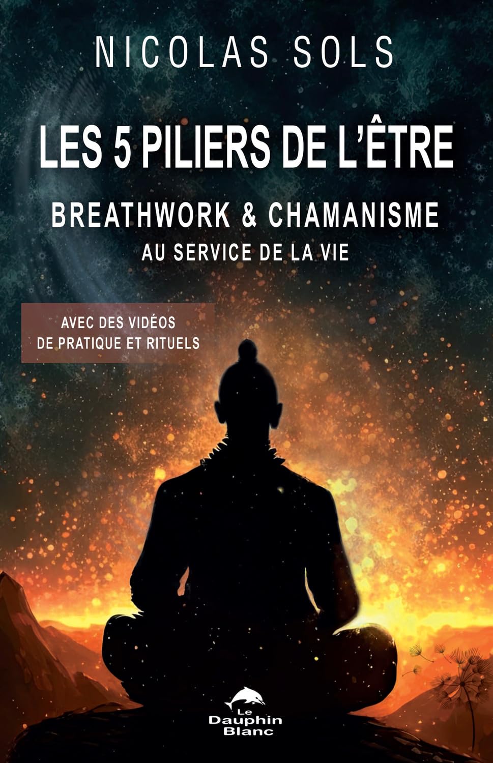 Les 5 piliers de l'être - Breathwork & chamanisme au service de la vie - Avec des vidéos de pratique et rituels book