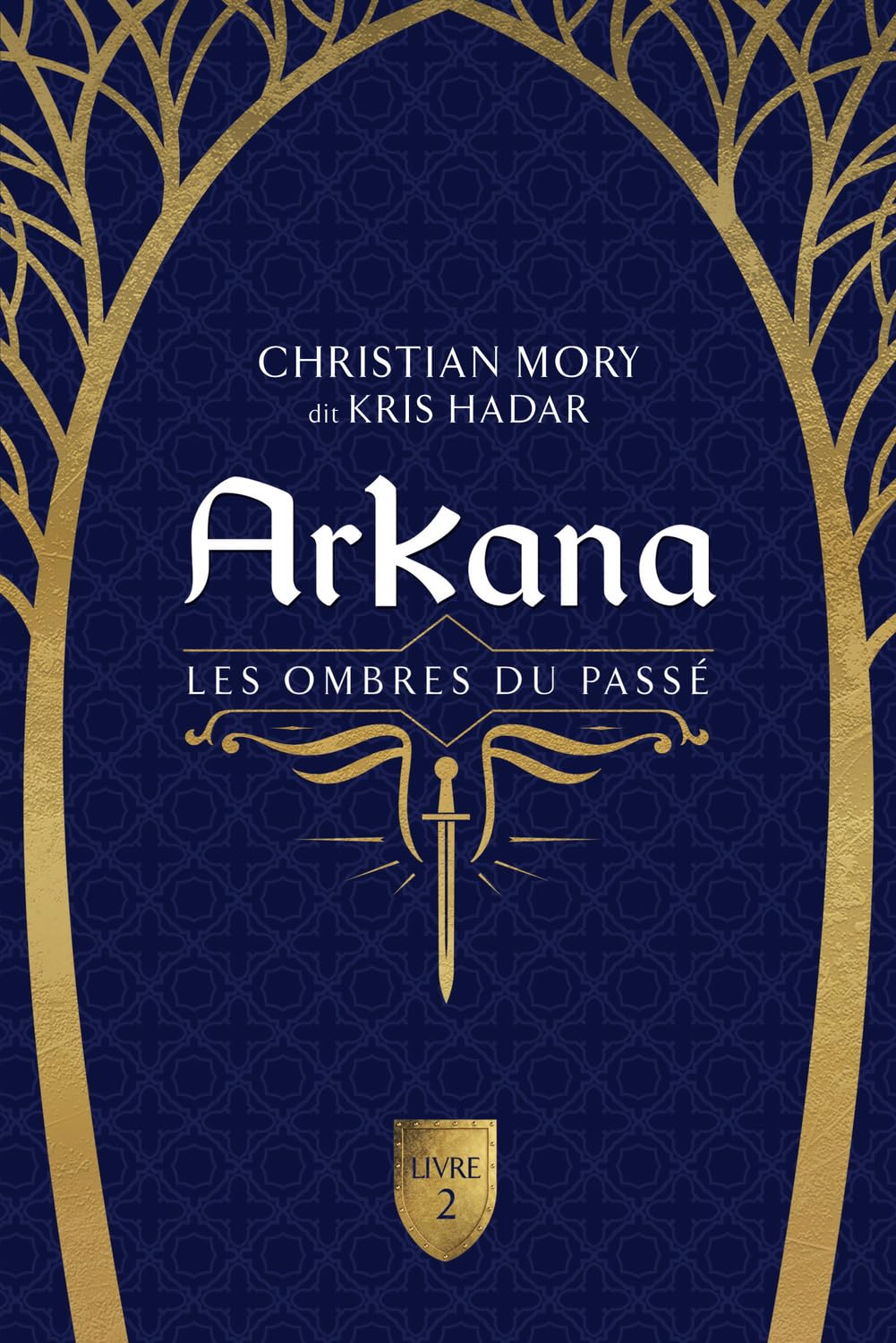 Arkana - Les ombres du passé Tome 2 book