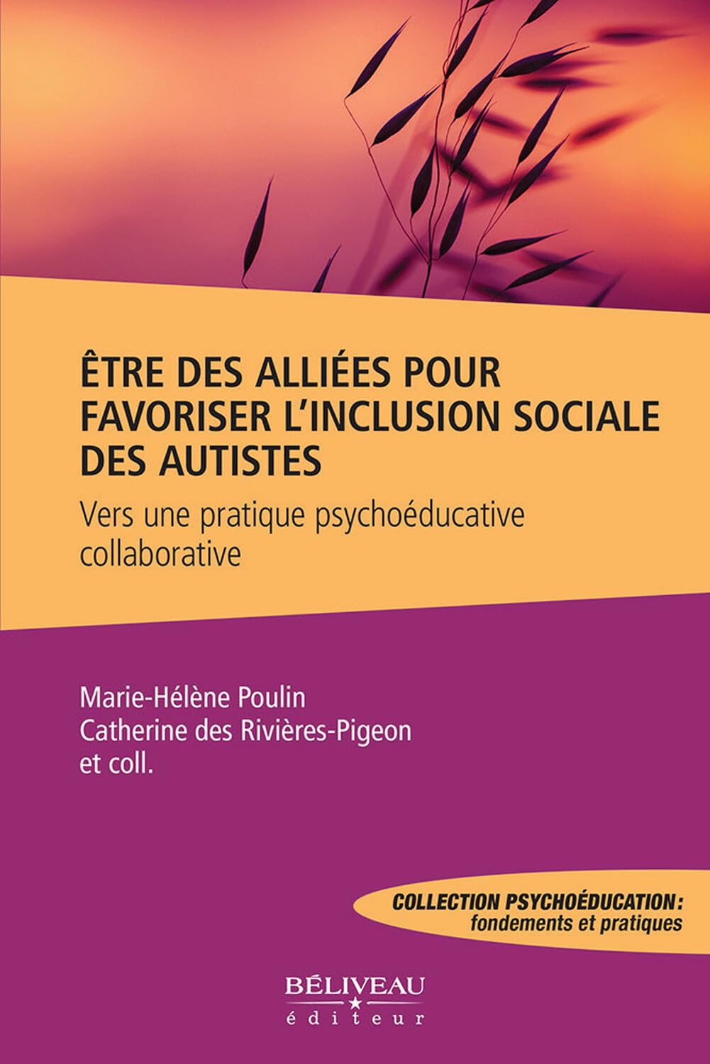 Etre des alliées pour favoriser l'inclusion sociale des autistes - Vers une pratique psychoéducative collaborative book