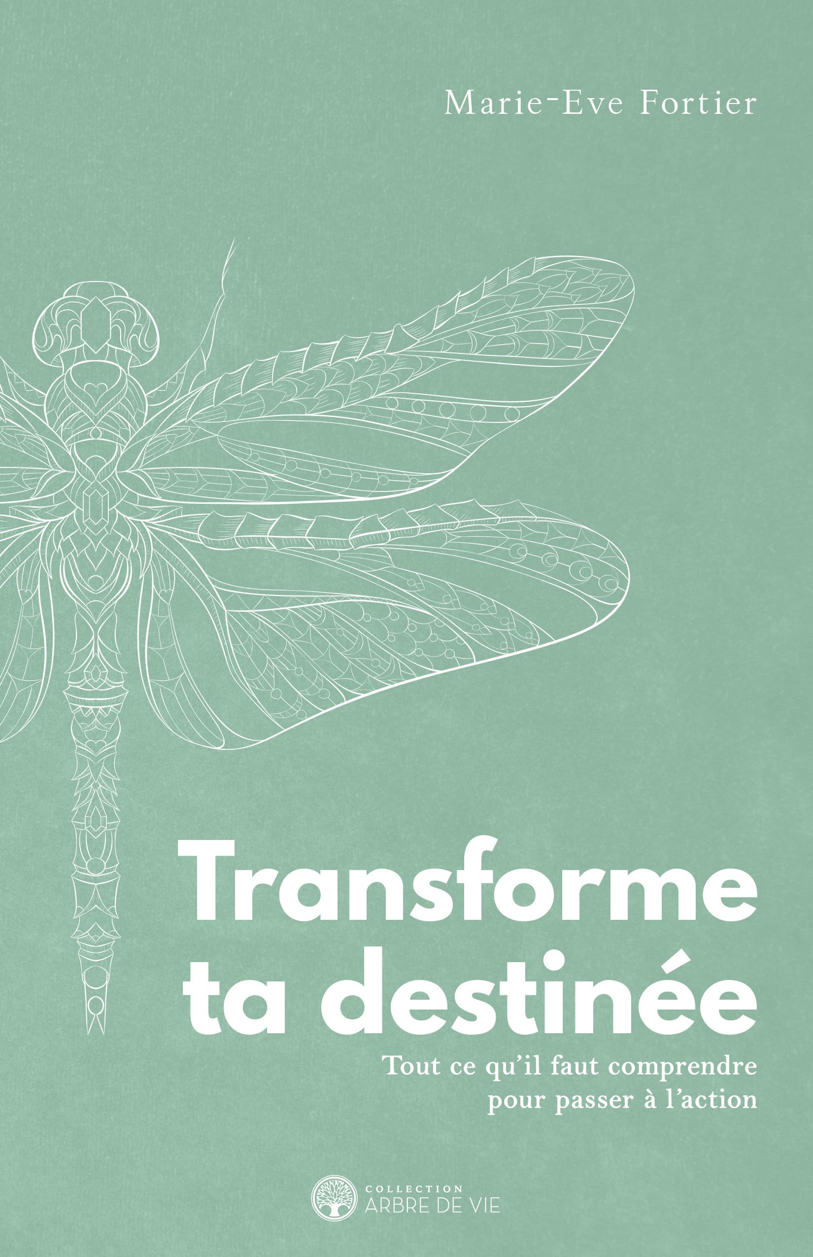 Transforme ta destinée - Tout ce qu'il faut comprendre pour passer à l'action book