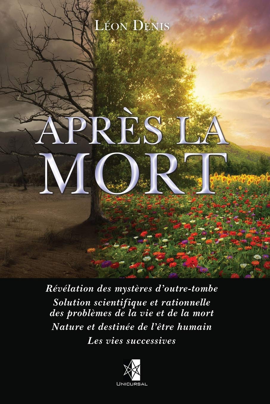 Après la Mort: Révélation des mystères d’outre-tombe book