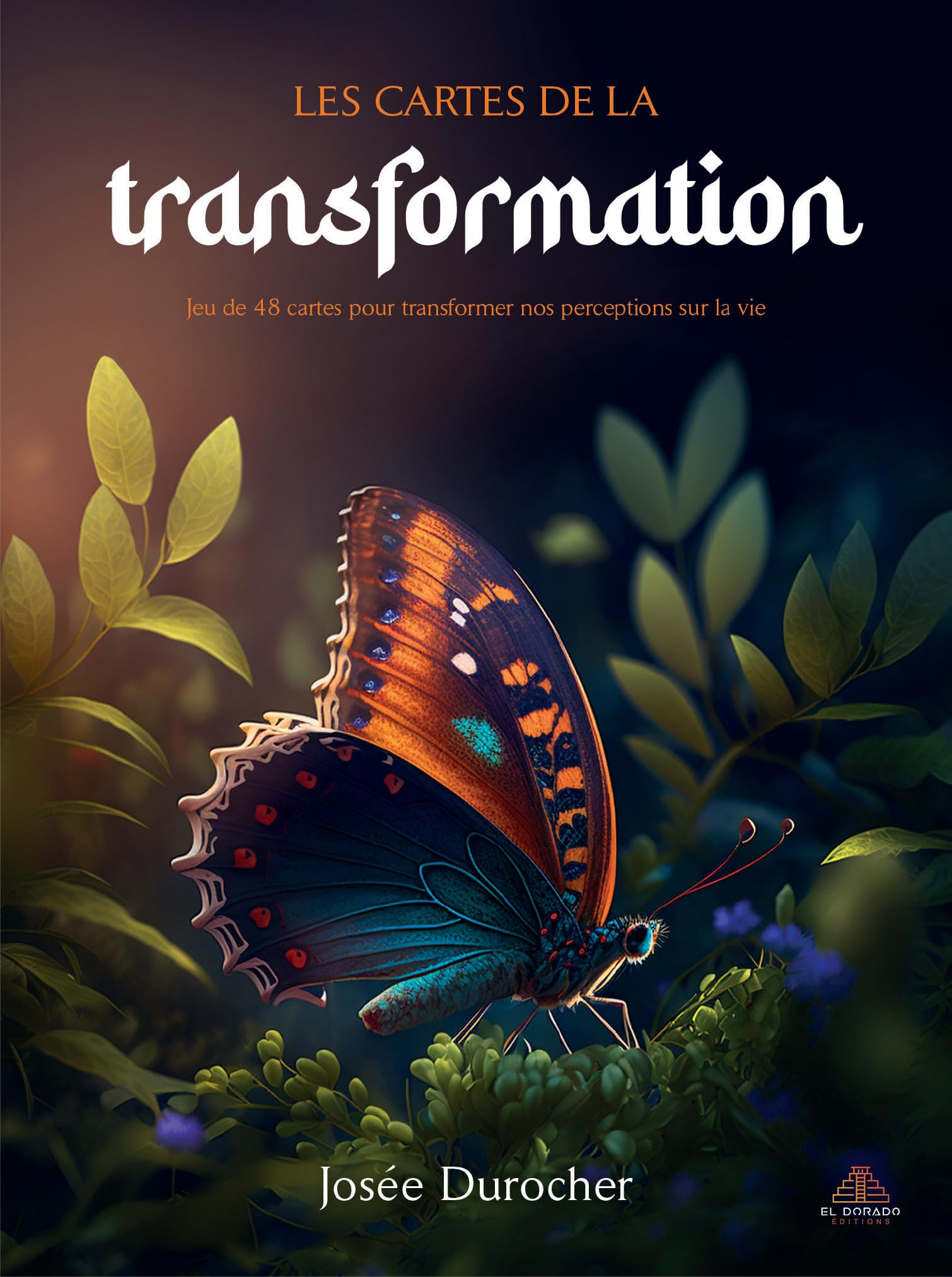 Cartes - Les cartes de la transformation: Jeu de 48 cartes pour transformer nos perceptions sur la vie Religion & Esotericism