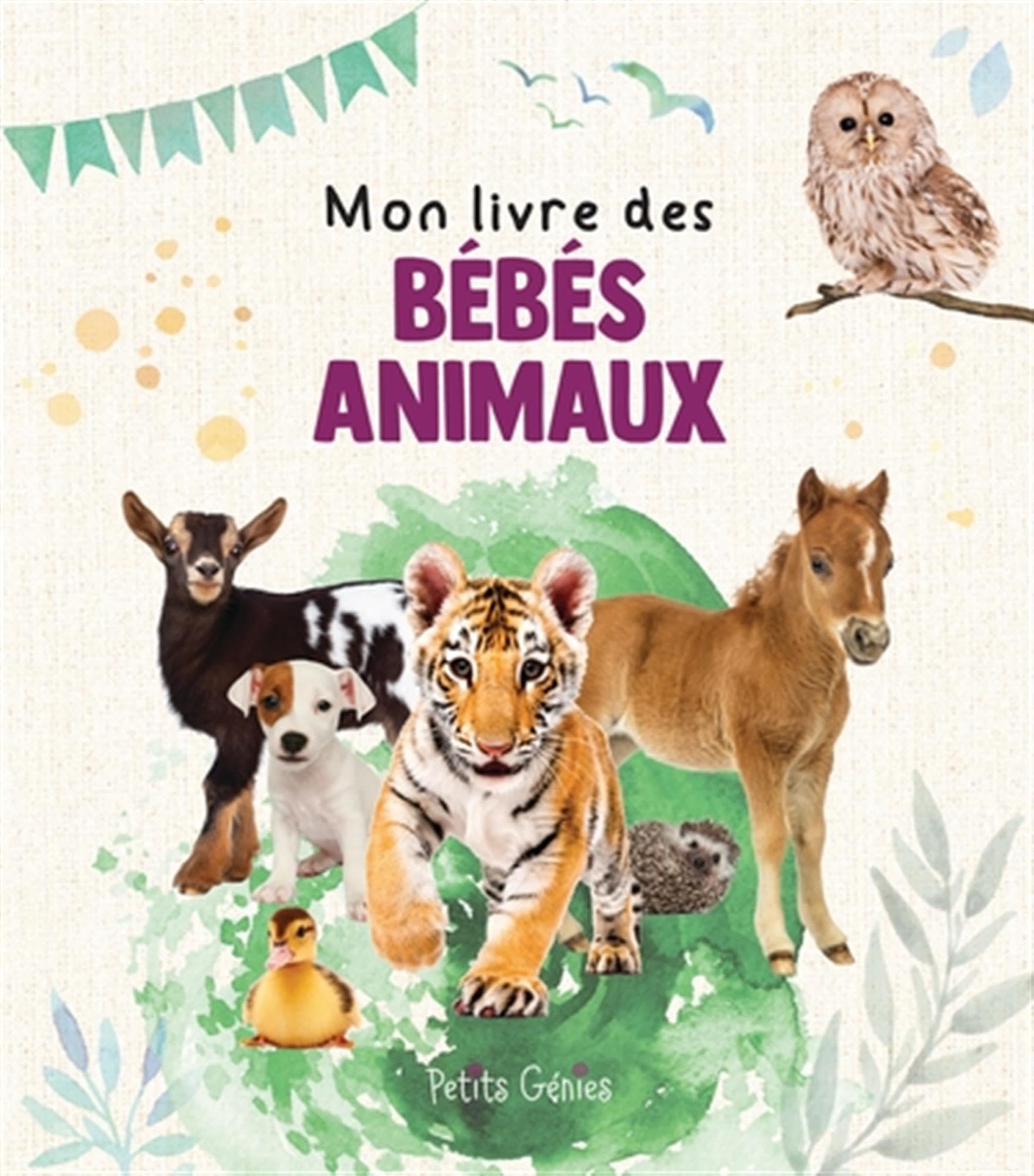 Mon livre des bébés animaux Parents & Children