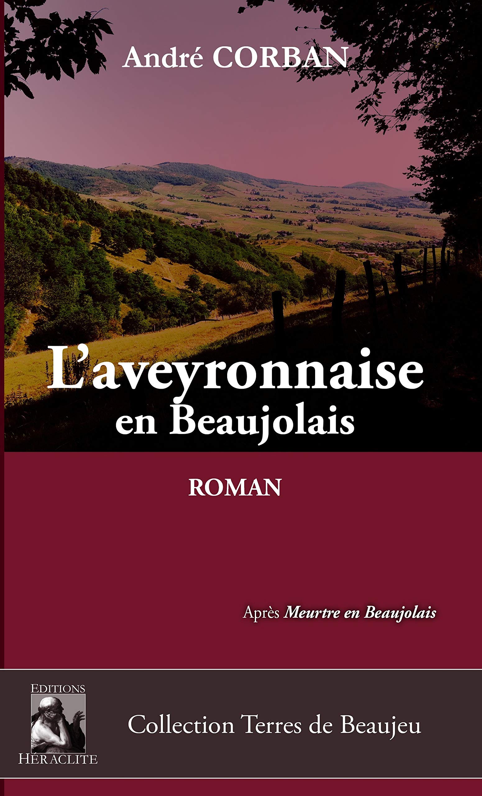 L'Aveyronnaise en Beaujolais book