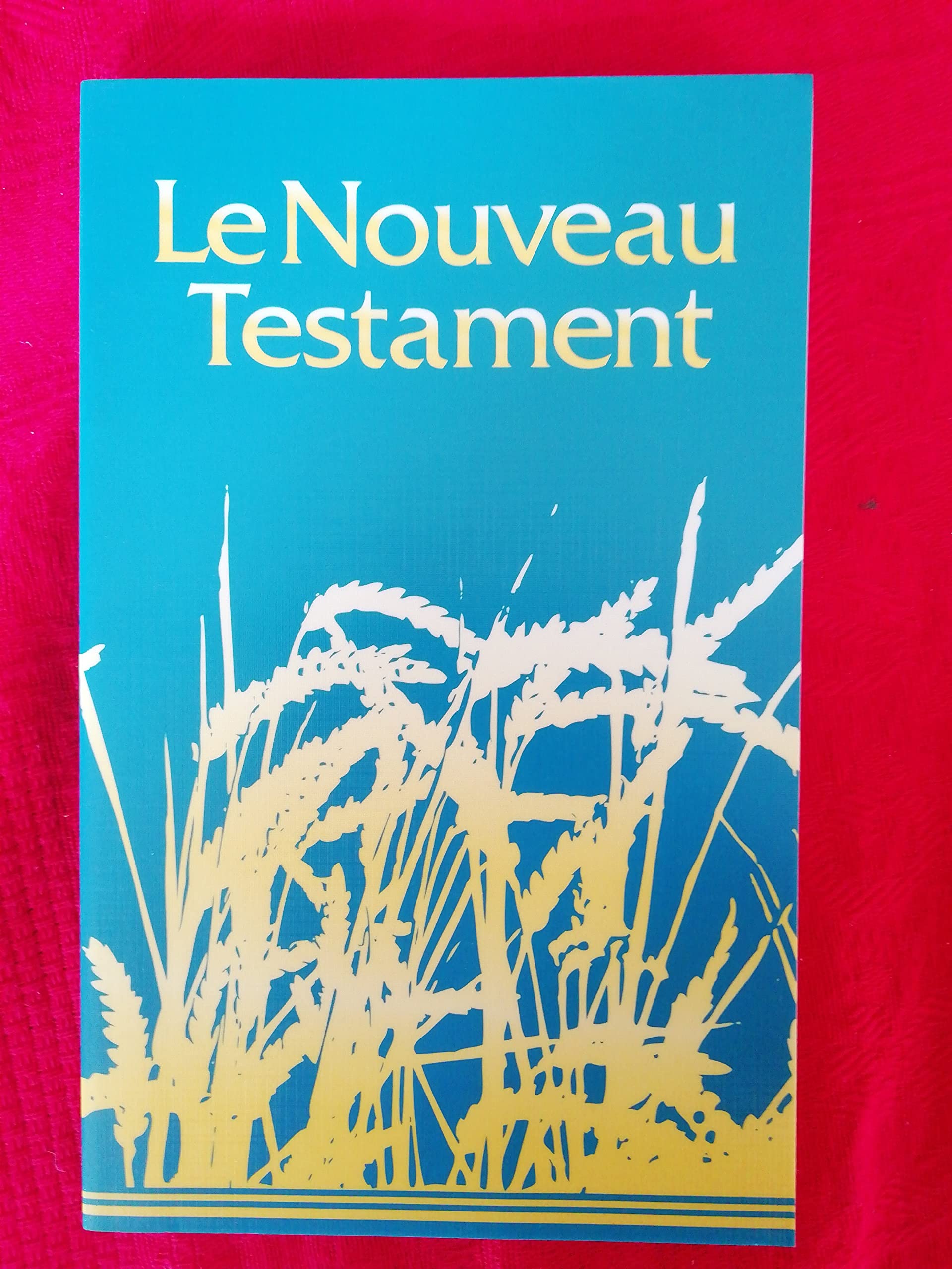 NOUVEAU TESTAMENT. LA SAINTE BIBLE COMPREND L ANCIEN ET LE NOUVEAU TESTAMENT. Books
