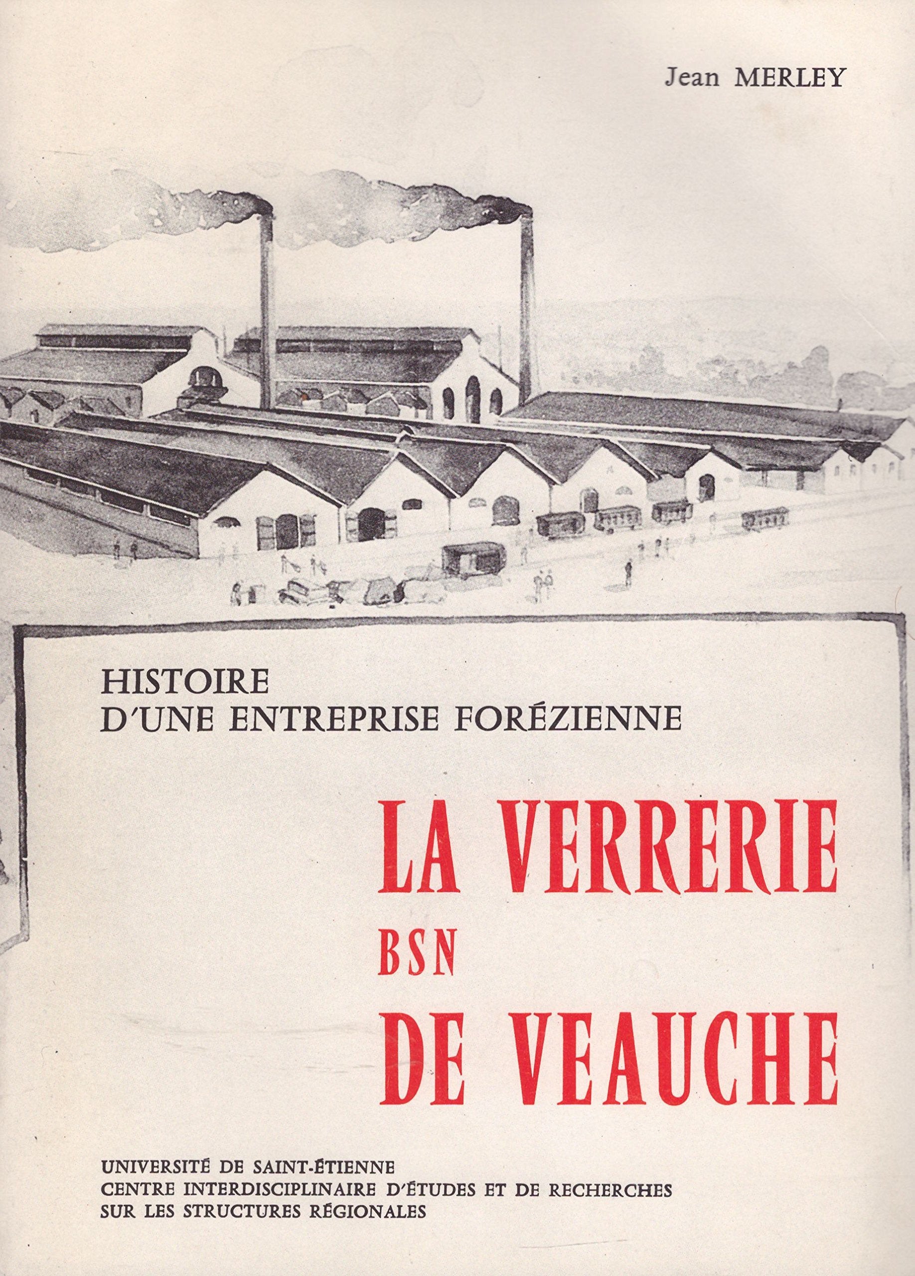 Histoire d une entreprise forezienne la verrerie bsn de veauche book