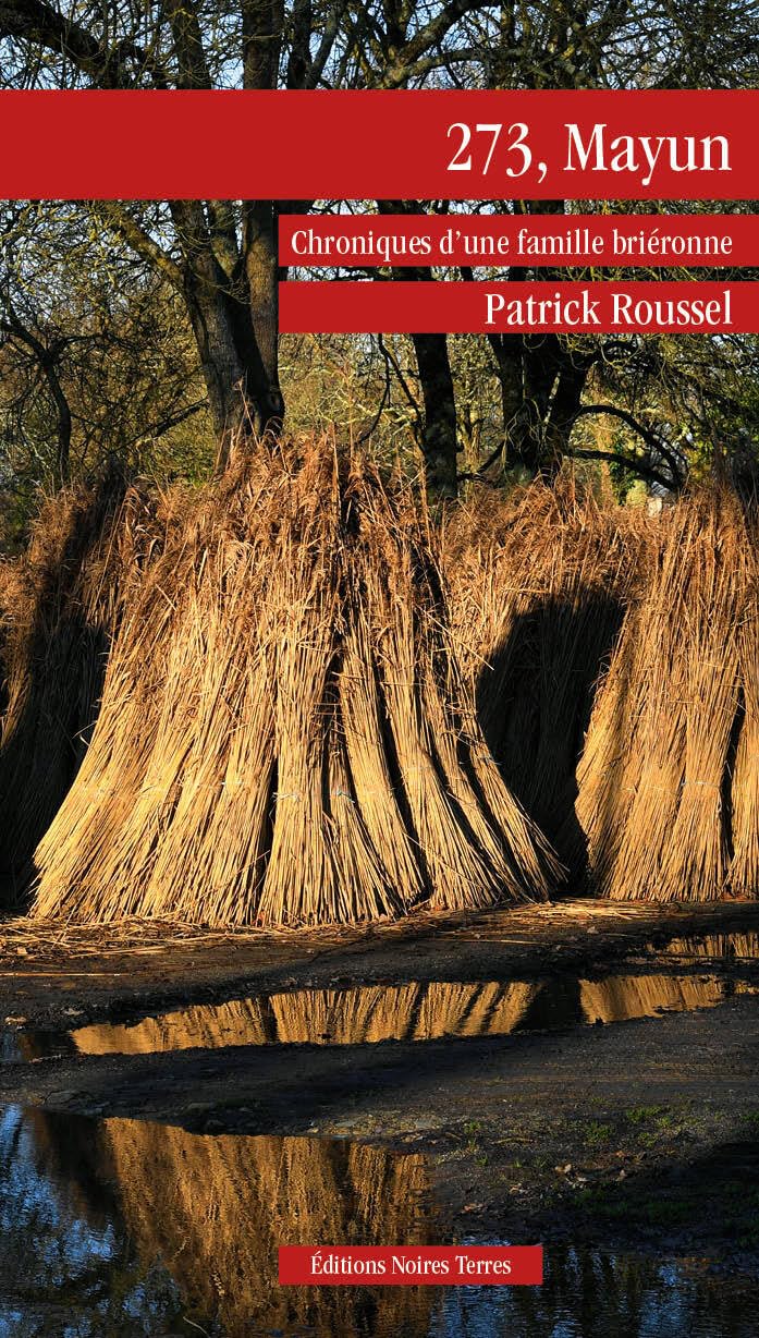 273, mayun: Chronique d'une famille briéronne book