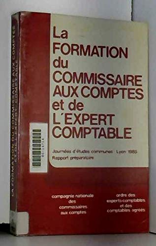 La formation du commissaire aux comptes et de l'expert comptable. Journées d'études communes, Lyon 1 book