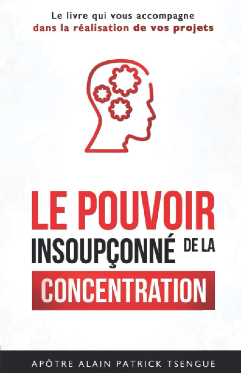 Le pouvoir insoupçonné de la concentration: Le livre qui vous accompagne dans la réalisation de vos projets book