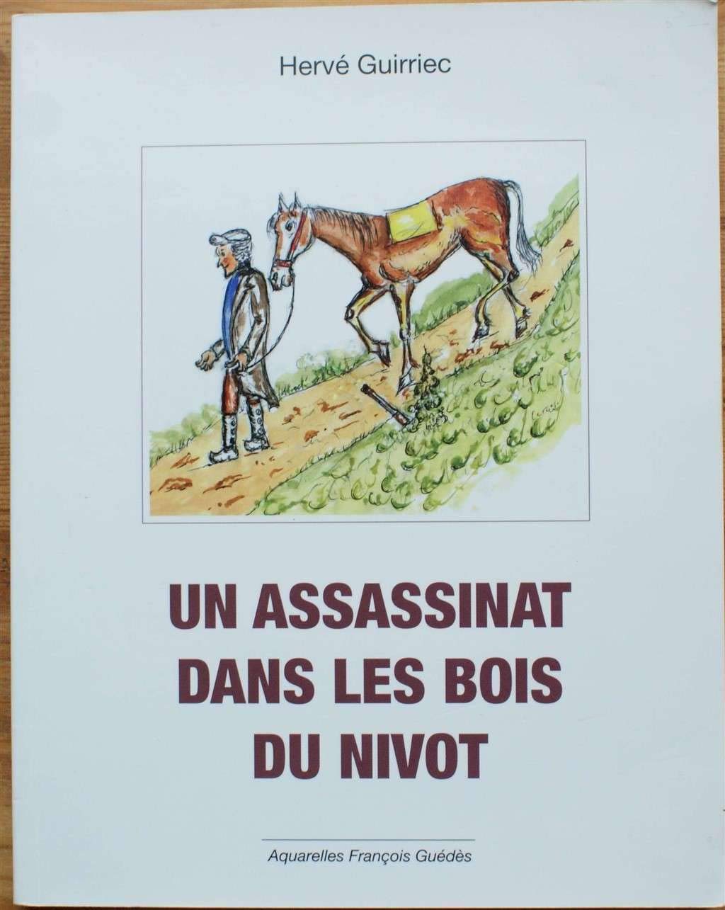 Un assassinat dans les bois du Nivot book