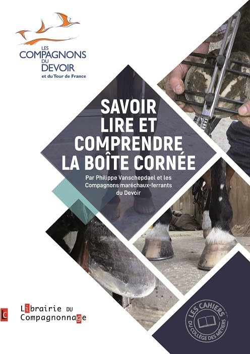 Savoir lire et comprendre la boite cornee book