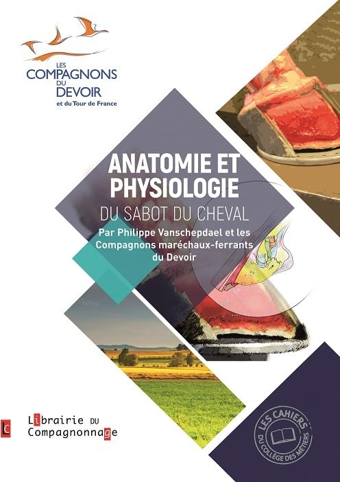 ANATOMIE ET PHYSIOLOGIE DU SABOT DU CHEVAL Medicine