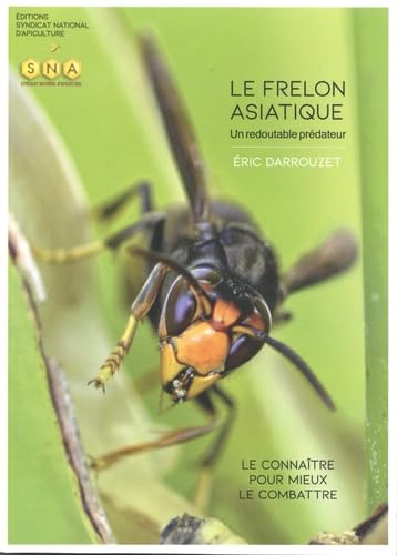 Le frelon asiatique, un redoutable prédateur: Le connaître pour mieux le combattre Leisure, Home & Garden