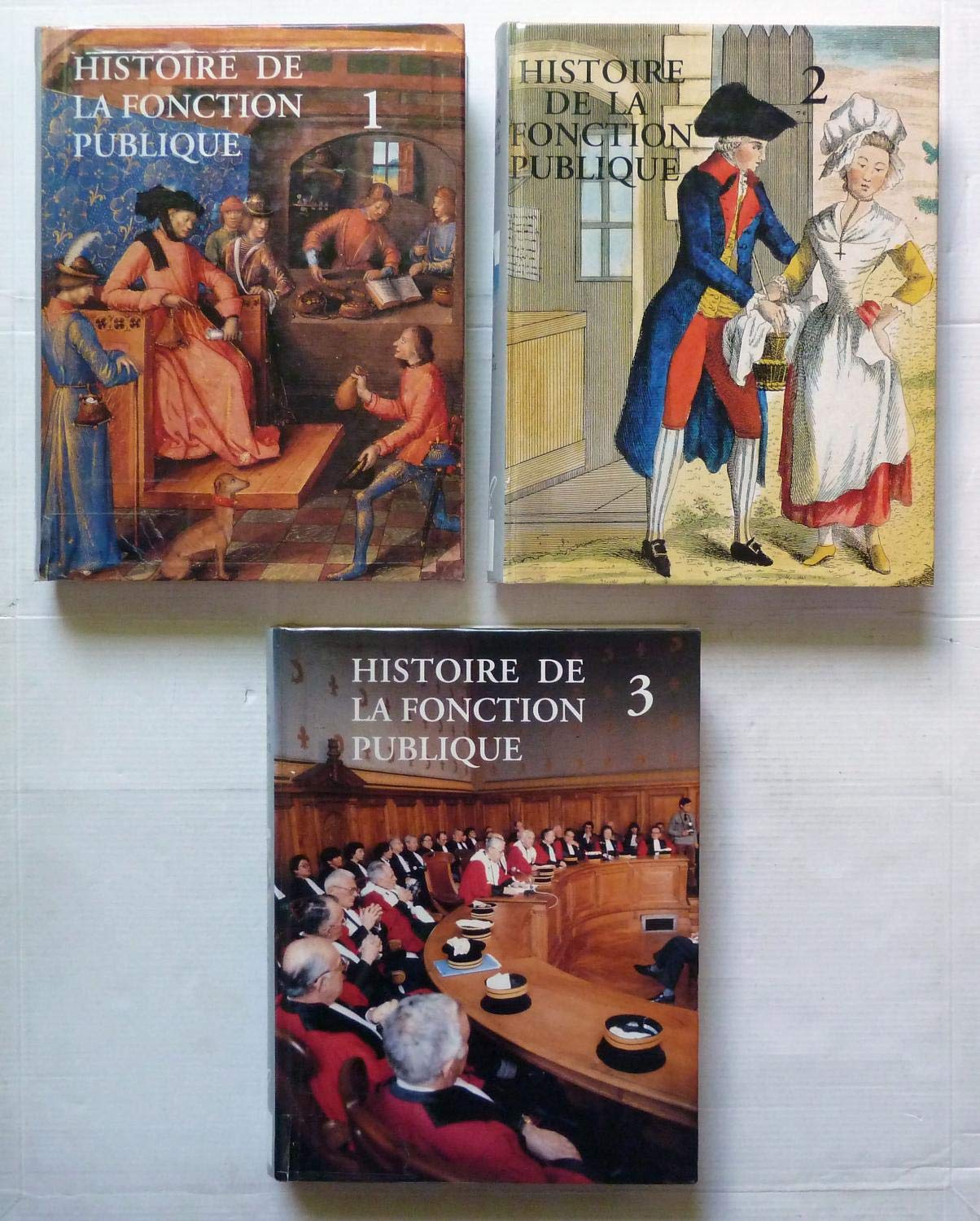 Histoire de la fonction publique en France Books