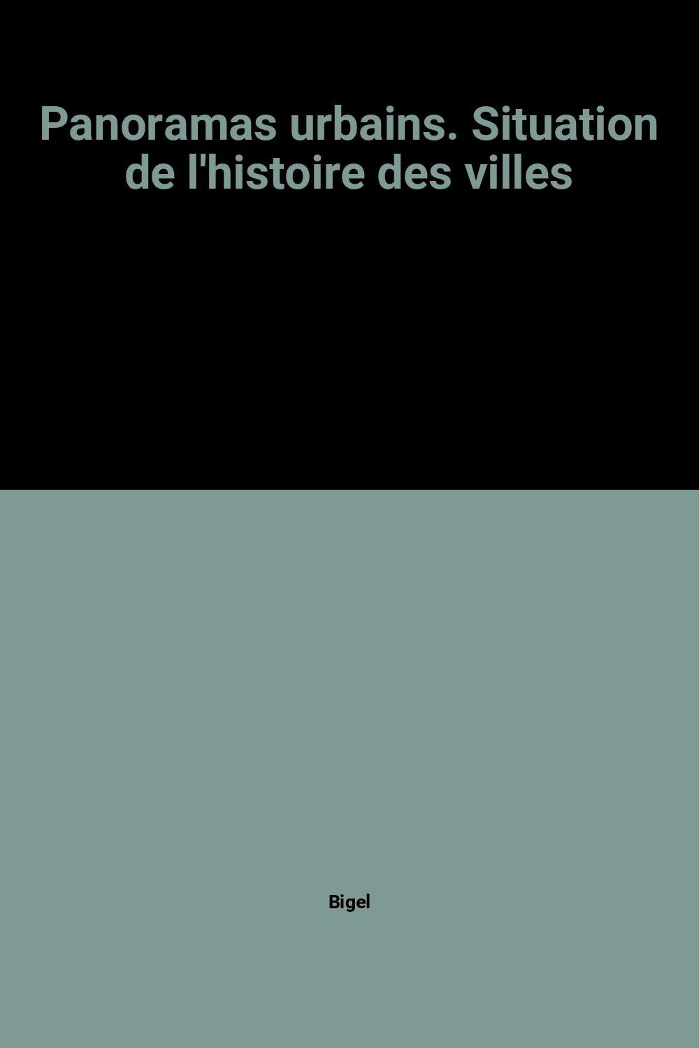 Panoramas urbains. Situation de l'histoire des villes book