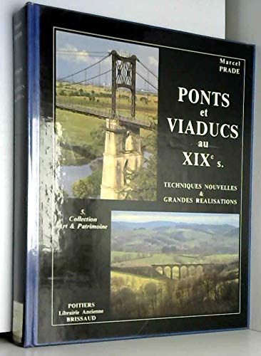 Ponts et viaducs au XIXe siècle : techniques nouvelles et grandes réalisations françaises Books