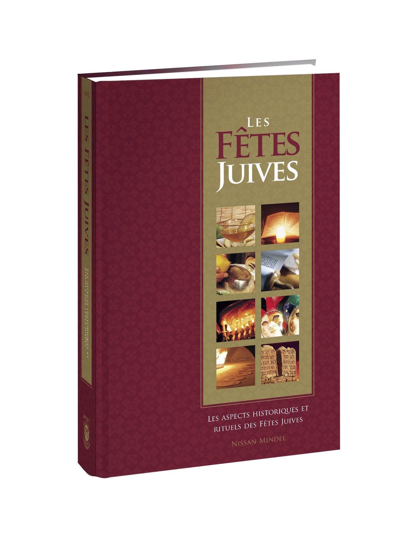 Les Fêtes Juives. Les aspects historiques et rituels des fêtes juives book