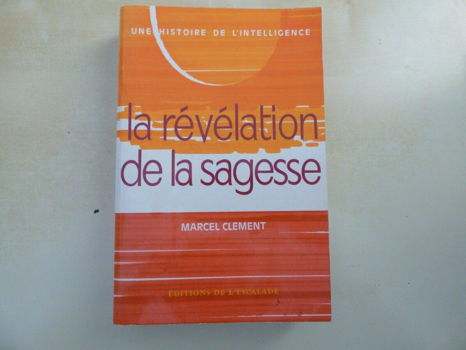 Une histoire de l'intelligence 2 - La révélation de la sagesse book