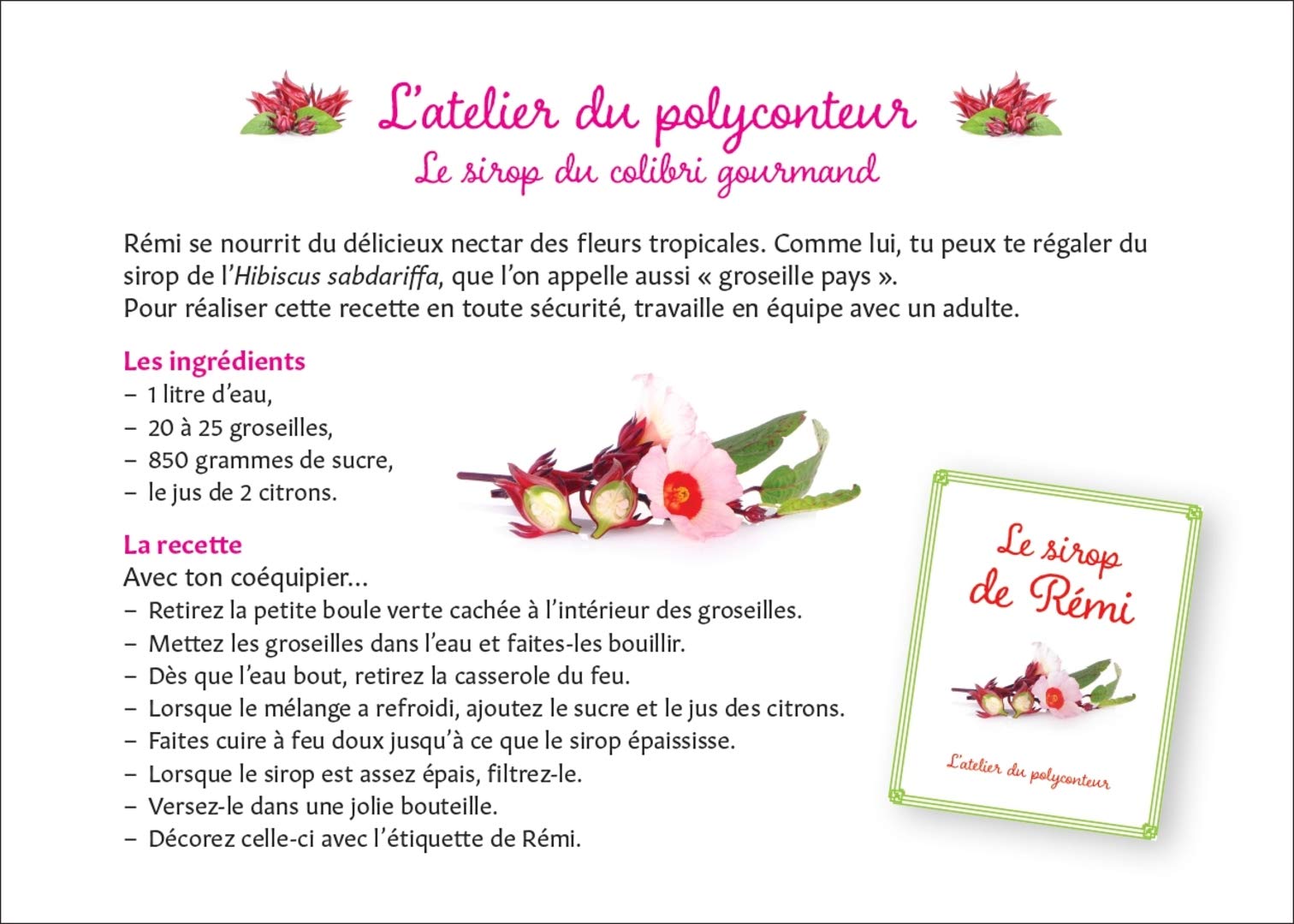 La Mousse i l’ocell mosca: Mousse et l’oiseau-mouche | Bilingue catalan-français book